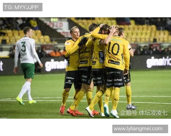 德国与瑞典足球对决球员表现评分全面分析与比较