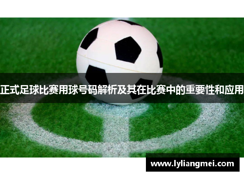 正式足球比赛用球号码解析及其在比赛中的重要性和应用