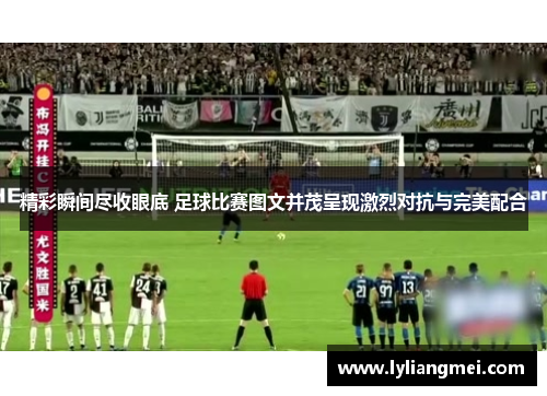 精彩瞬间尽收眼底 足球比赛图文并茂呈现激烈对抗与完美配合